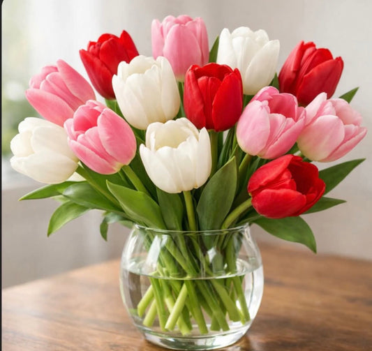 Valentine Tulips