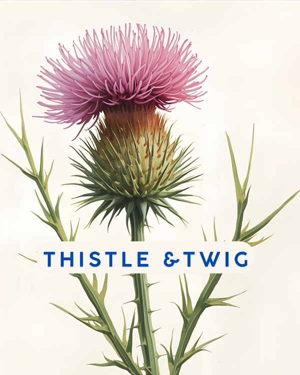 Thistle & Twig